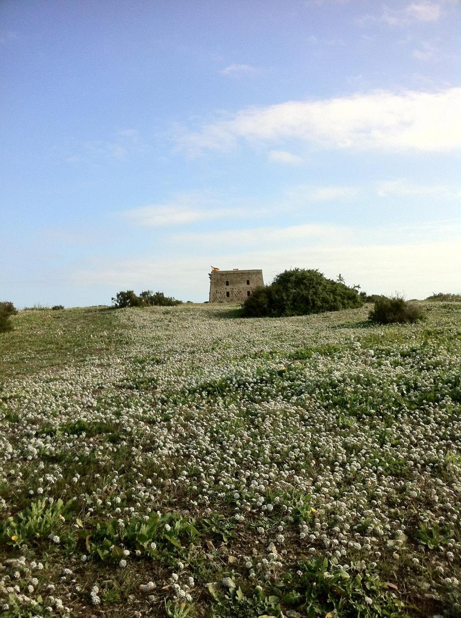 Boutique Isla Tabarca Hotel Buitenkant foto